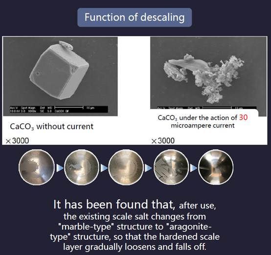网站, 日程表
AI 生成的内容可能不正确.