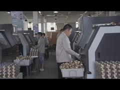 Ligne de production de ressorts Beishun Brisk