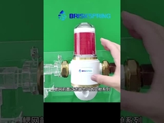 Pré-filtreur de mailles de guêpes BriskSpring. Une protection efficace contre les sédiments pour votre maison