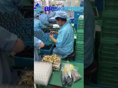 40 100 microns Retour vers le bas de toute la maison Sédiments à double filtration Préfiltre de sédiments réutilisable