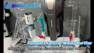 Le purificateur d’eau central compact élimine efficacement la décoloration et les odeurs.