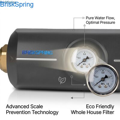 Filtre écologique non toxique ABS corps anti-écaillage Décalant d'eau pour toute la maison