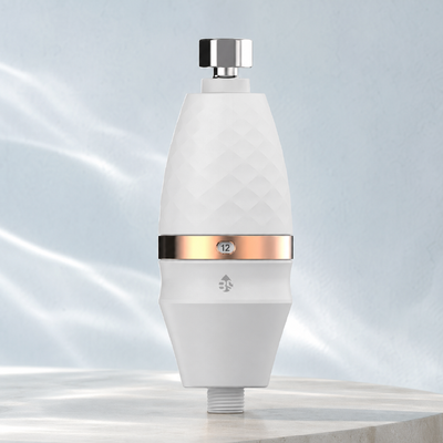 Purificateur d'eau de douche BriskSpring M2-A 1/2 pouce avec 316L de treillis en acier inoxydable et de charbon actif en argent MSAP KDF pour une filtration de haute efficacité