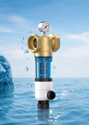 Préfiltre d'eau pour toute la maison BriskSpring T1-Z2-BS double face avec filtration de 40 microns et manomètre