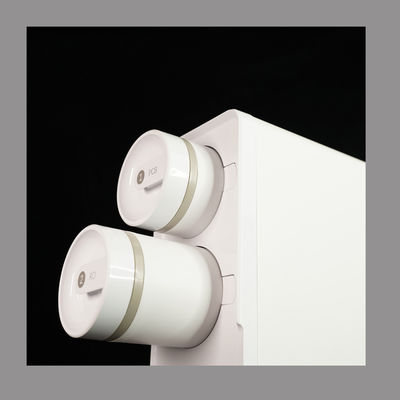 écoulement à niveau dominant de RO de l'eau de 5T 390mm de Chambre entière à la maison d'épurateur