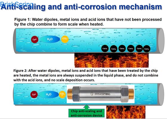 3/4 pouces toute la maison sans sel adoucisseur d'eau empêche l'échelle protège la plomberie prolonge la durée de vie de l'appareil Solution écologique pour les systèmes d'eau domestiques