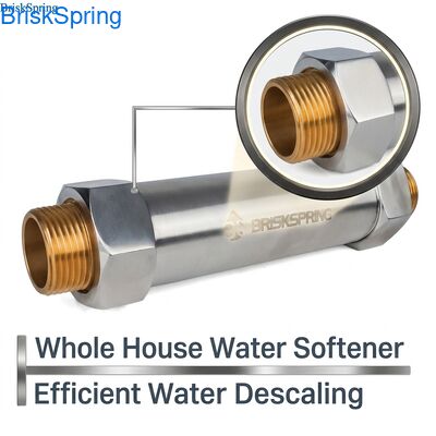 1 " décalant d'eau pour toute la maison, débit de 1-2 tonnes/heure, matériau SS304