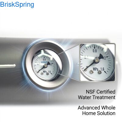 L'appareil de déscalant d'eau de maison entière 5T/H Flow NSF certifié RoHS