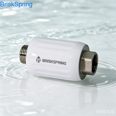 Mini décalant d'eau pour toute la maison Système sans sel sans entretien avec technologie de polarisation ionique physique pure