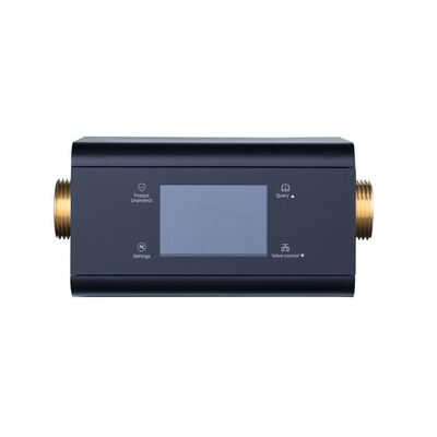 Détecteur de fuite d'eau intelligent pour toute la maison avec surveillance à distance APP Double alimentation électrique 3/4 pouces