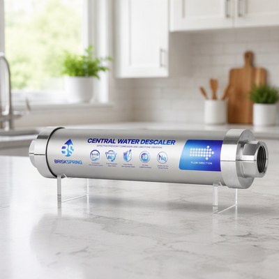 Détartreur d'eau pour toute la maison avec technologie de polarisation ionique, débit 4T/H, système de traitement de l'eau dure sans sel